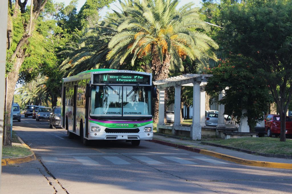 Colectivos: El Defensor del Pueblo pide que se optimice la información del servicio que se brinda a los usuarios